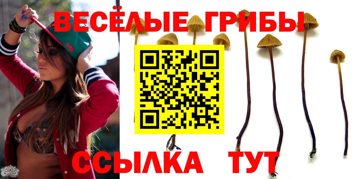 Псилоцибиновые грибы ЛСД Новошахтинск