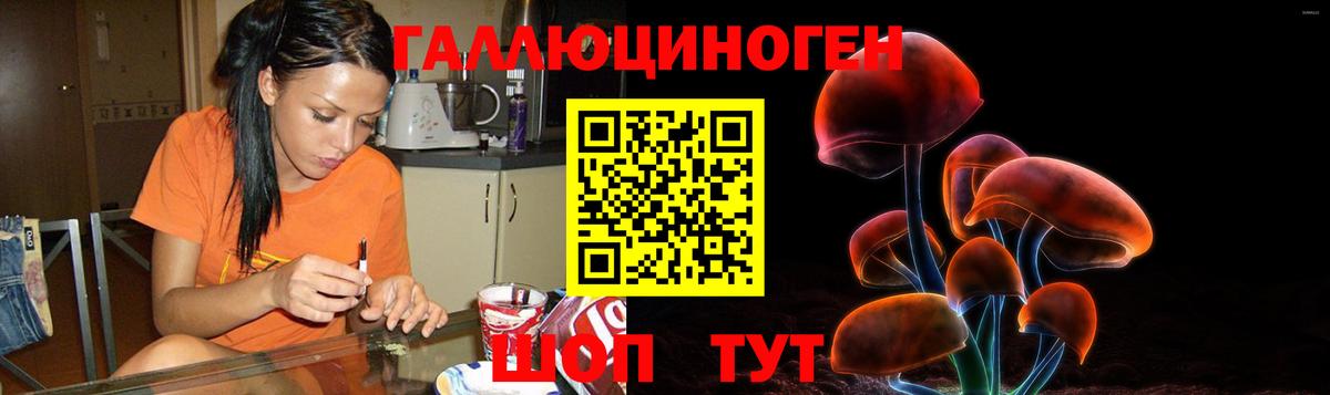 Галлюциногенные грибы Psilocybe  что такое наркотик  Новошахтинск  Псилоцибиновые грибы мицелий  Вход с VPN 